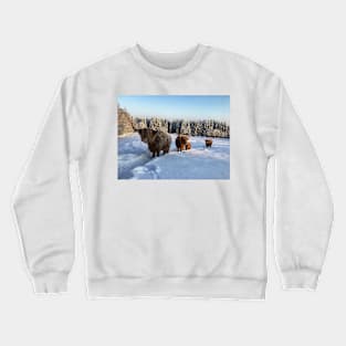 Scottish Highland Cattle Cows and Calf 1650 Crewneck Sweatshirt